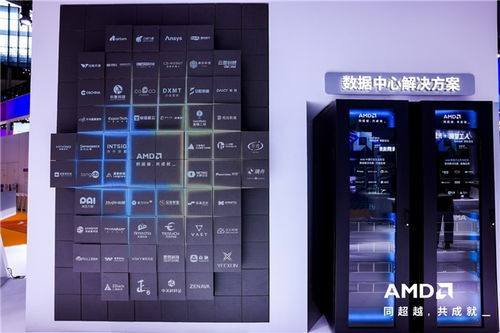 AMD携全栈式AI解决方案亮相进博会，赋能人工智能应用软件开发