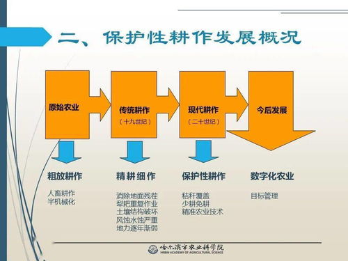 党建引领谋发展 科技助农备春耕——保护性耕作技术推广网络课堂